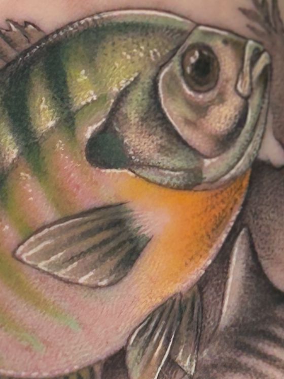 Color bluegill fish tattoo