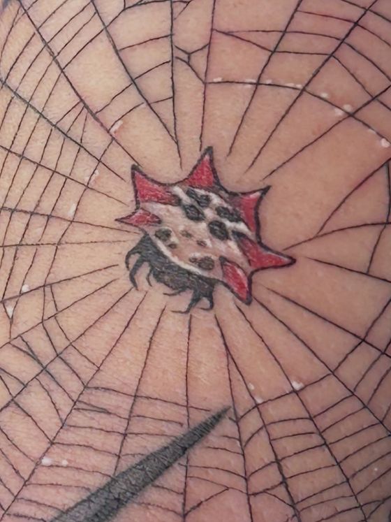Fine line spiderweb tattoo with a red spider